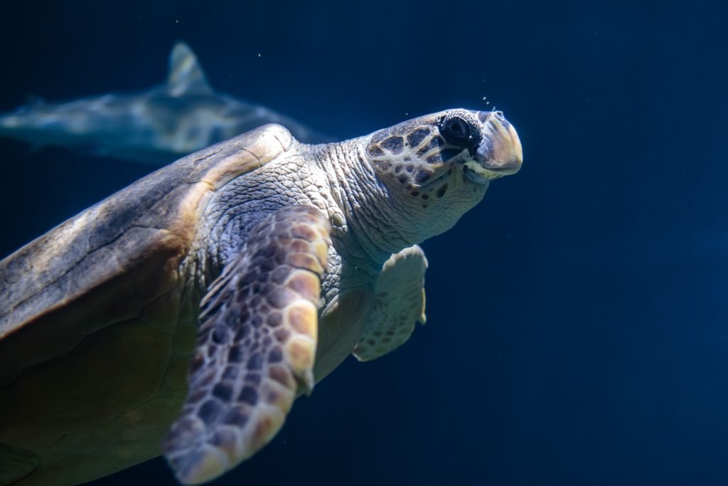 Bright Eyes tweet media