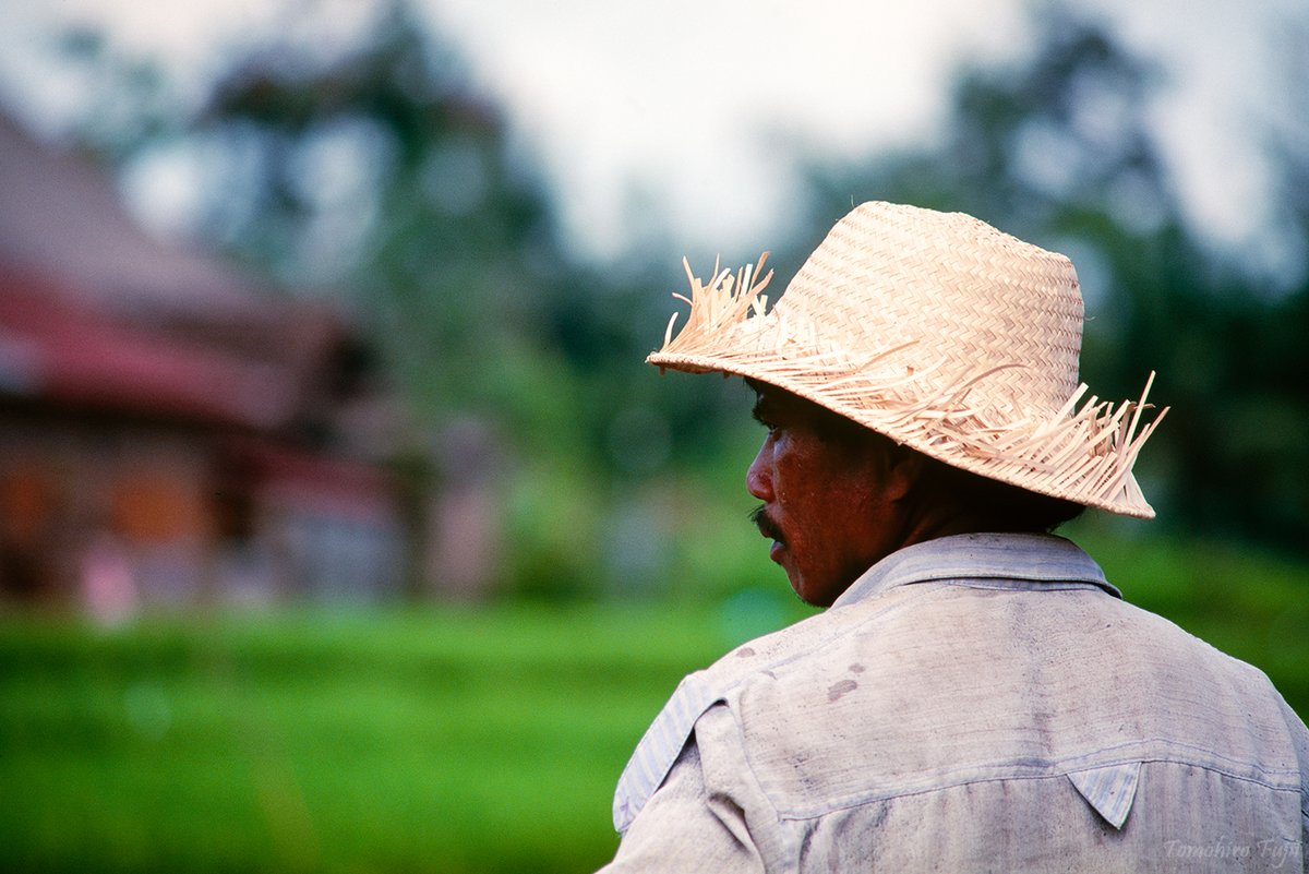 Bali, Indonesia, 1991
Canon T90　FD70-210mm F4　RVP
(©Tomohiro Fujii)
#Bali #Indonesia #Canon #FUJICHROME #filmphotography
instagram.com/fujiitomohiro