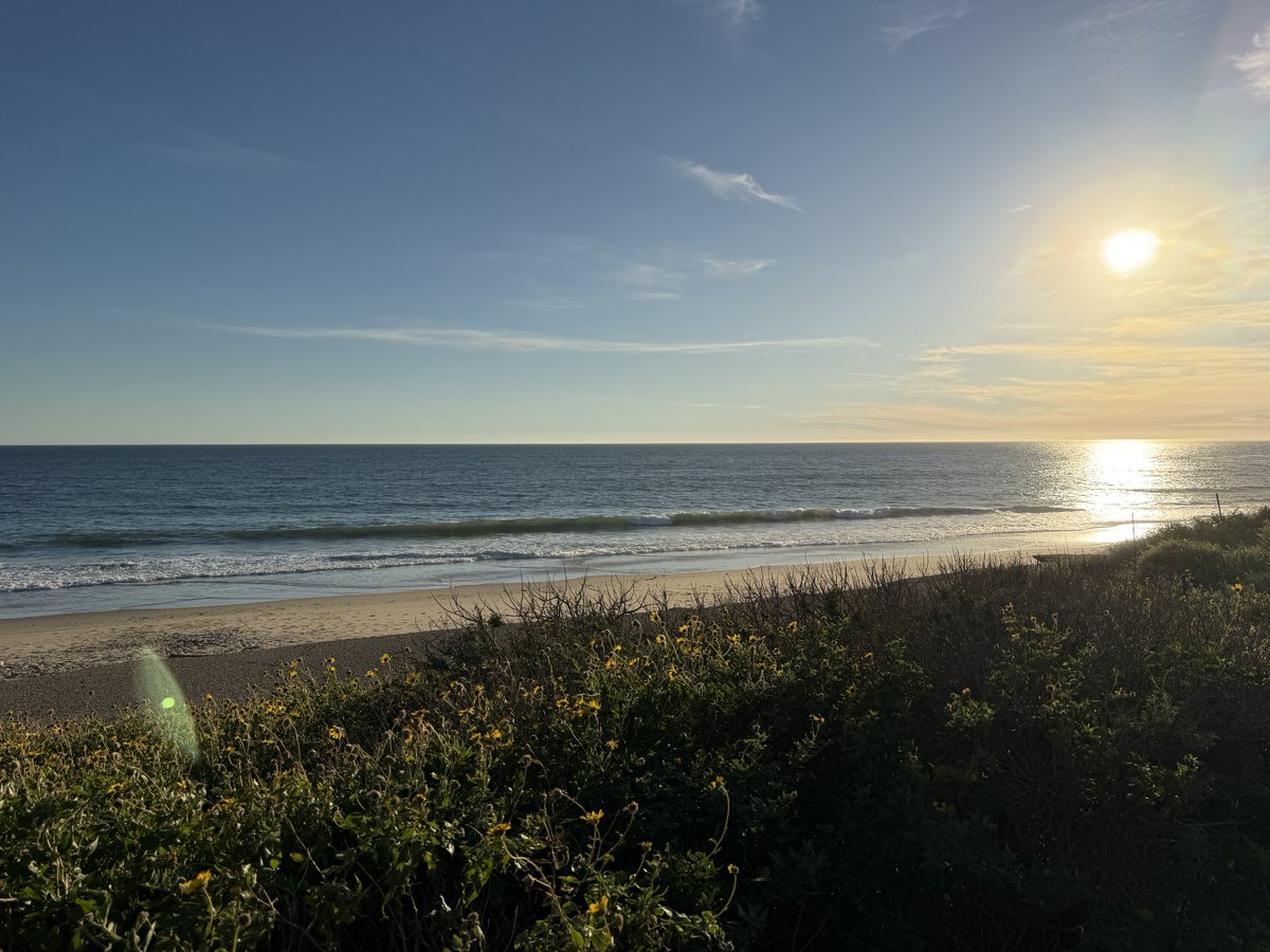 Countess Anna tweet media