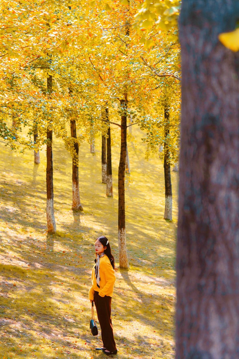 Robin Twaddle tweet media