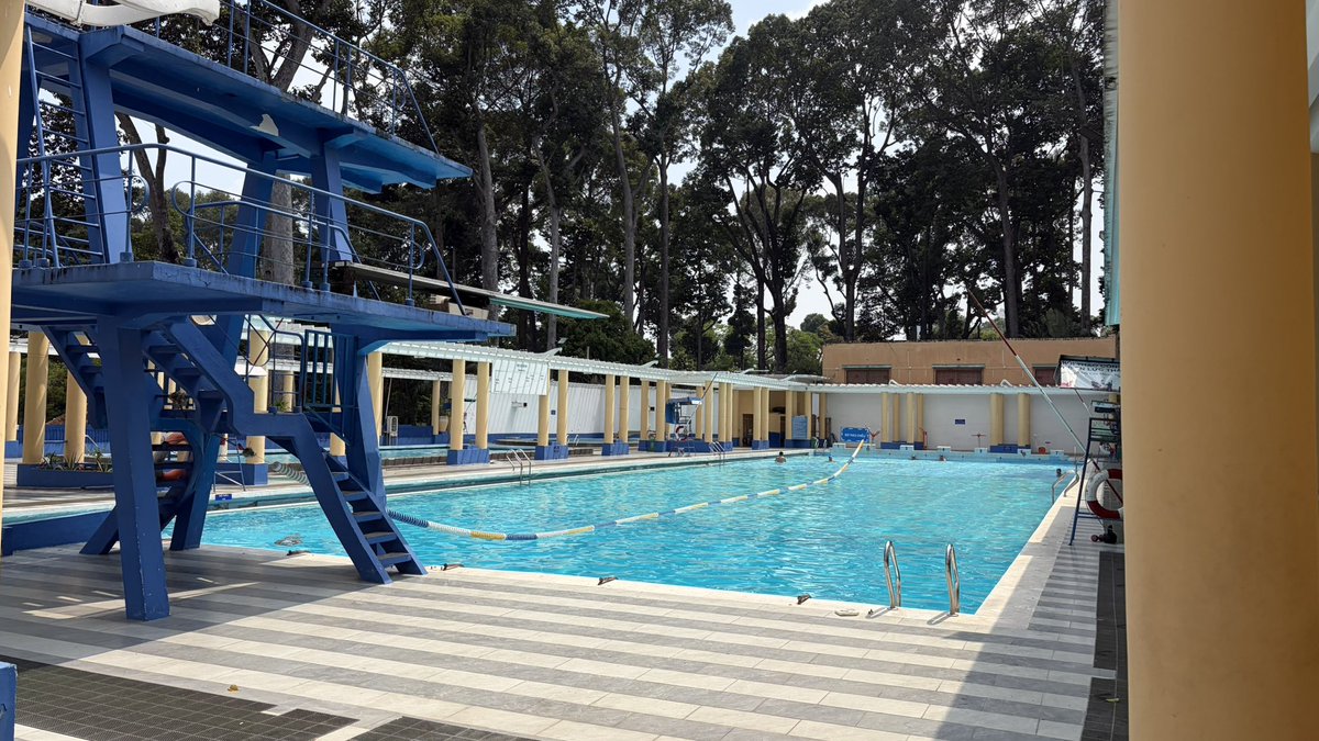 白ムチ tweet media