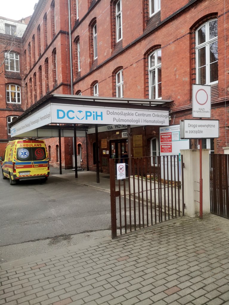 Dandi Paladyn Twiterza v3 💪 tweet media