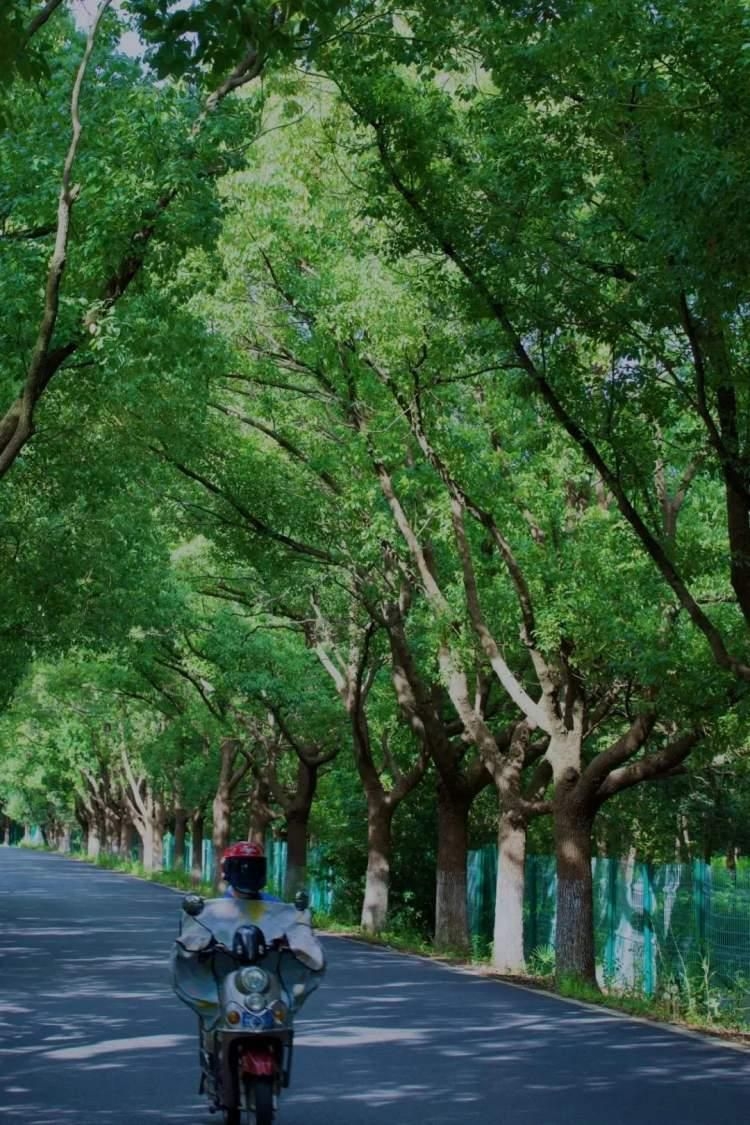 Pedro José Arrube tweet media