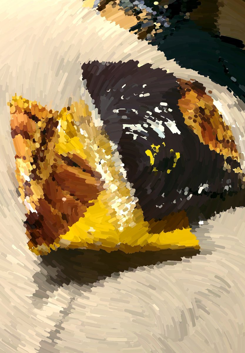 折登 樹 tweet media