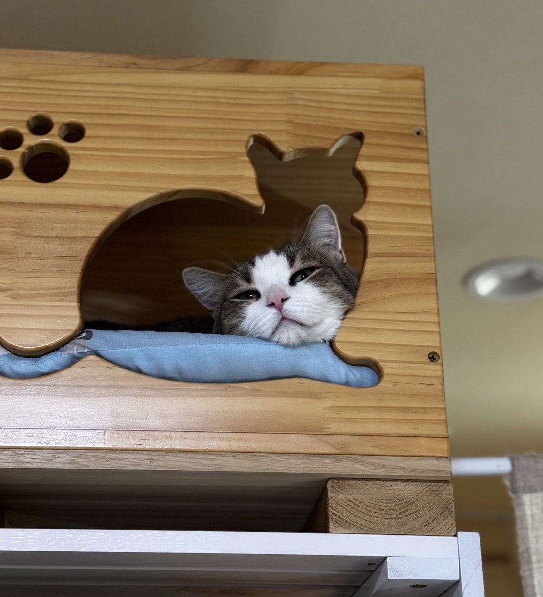 ふたみ tweet media