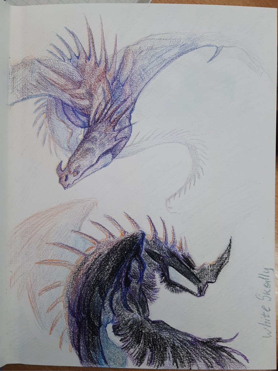 WhiteSkally tweet media