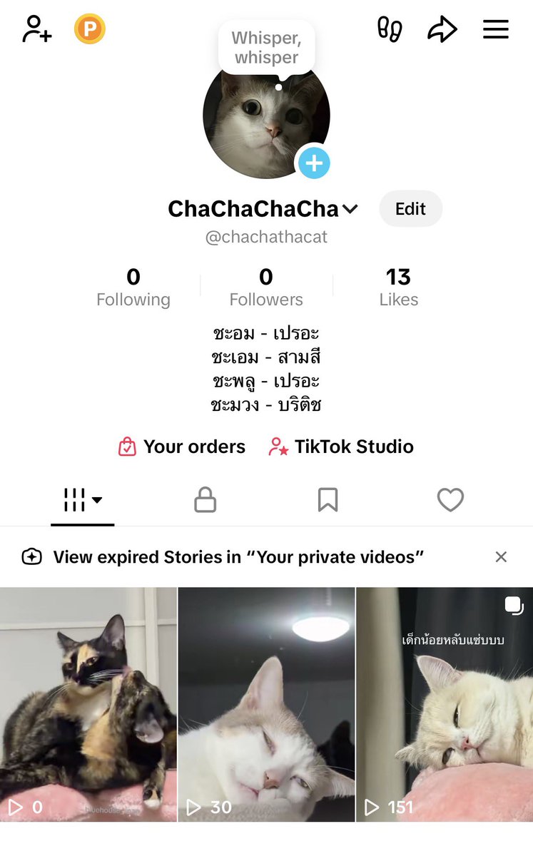 chaom.chaaem tweet media