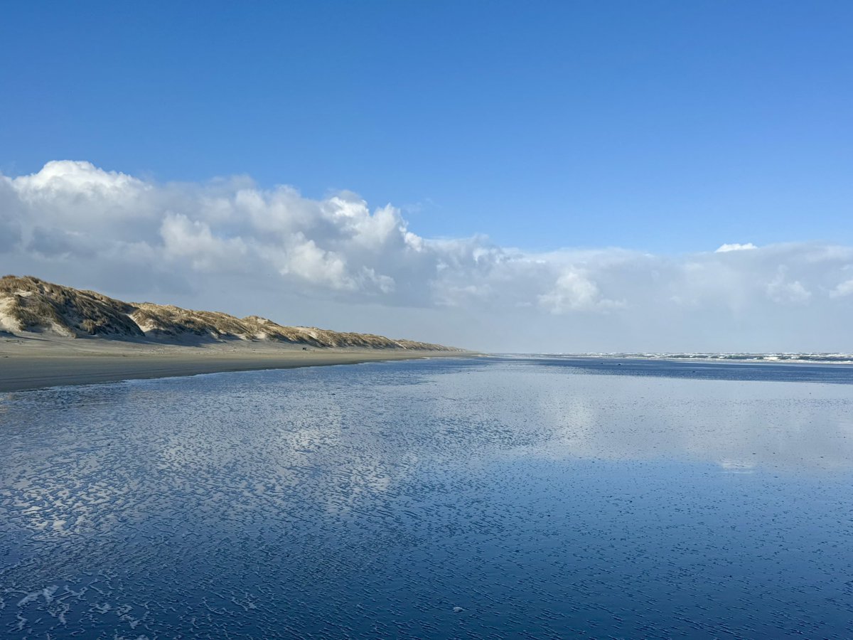 richardtkiewiet tweet media