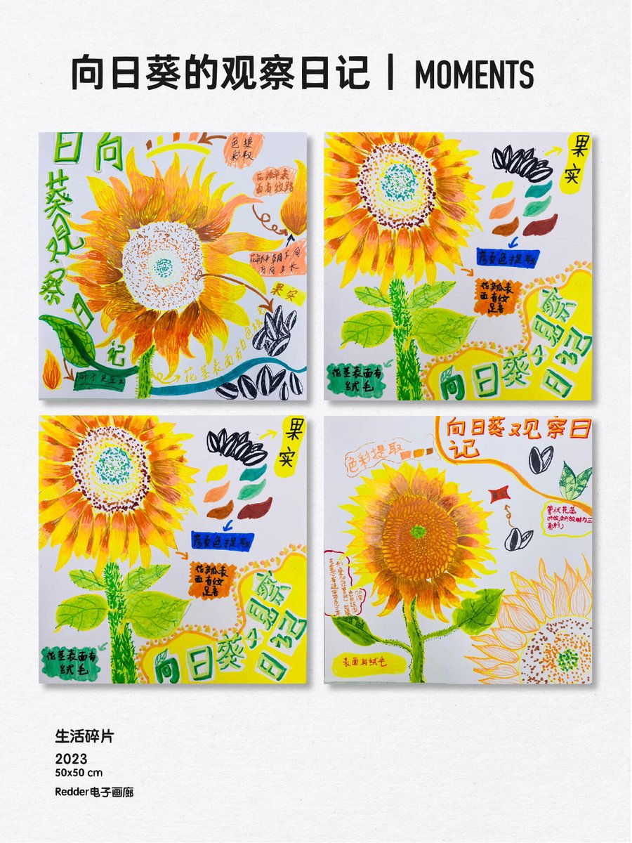 Kevin Bunn tweet media