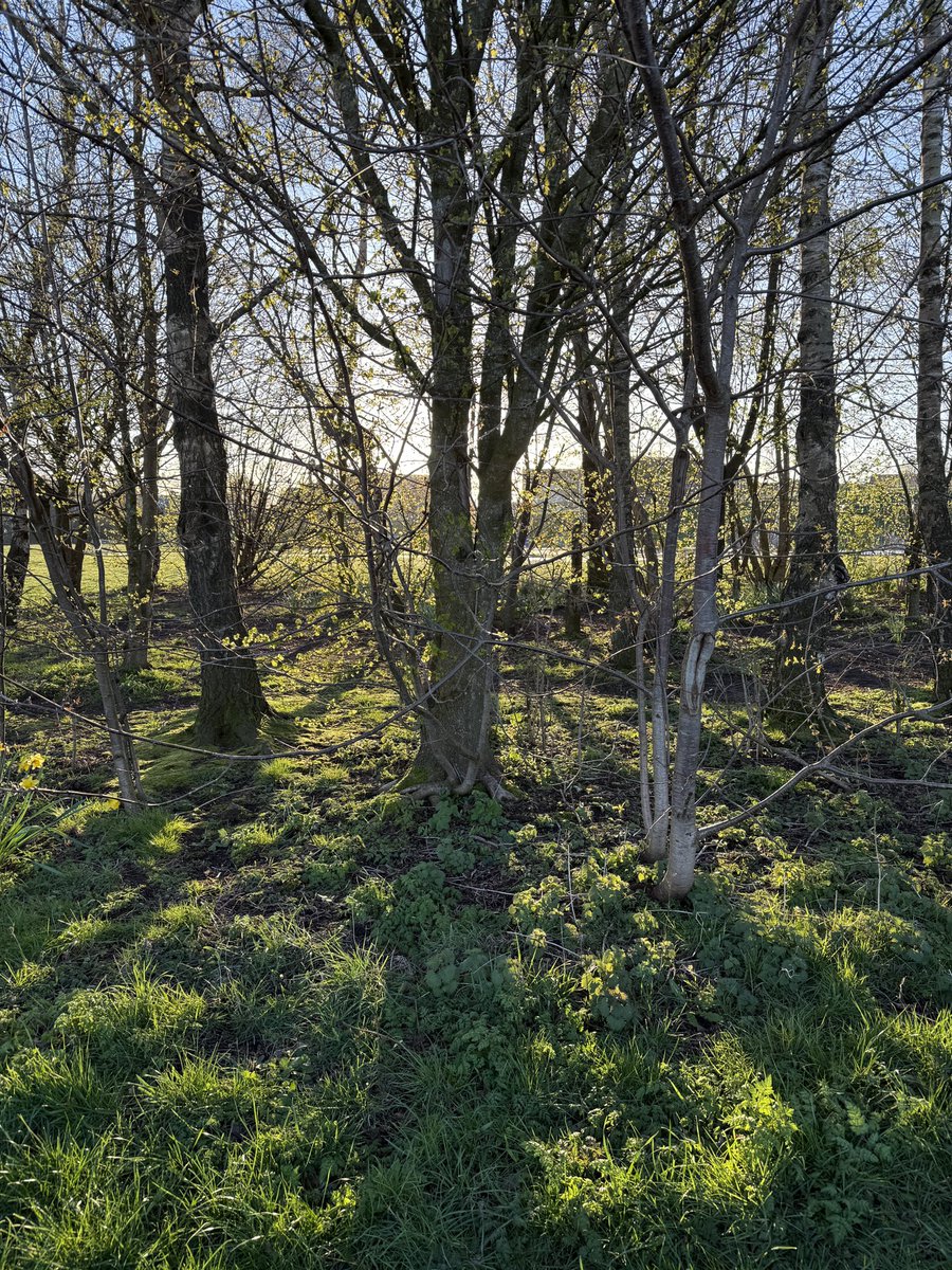 staithesartist's tweet image. #Ice and #sunshine for my #briskwalk It was a struggle to go this morning but glad I did.