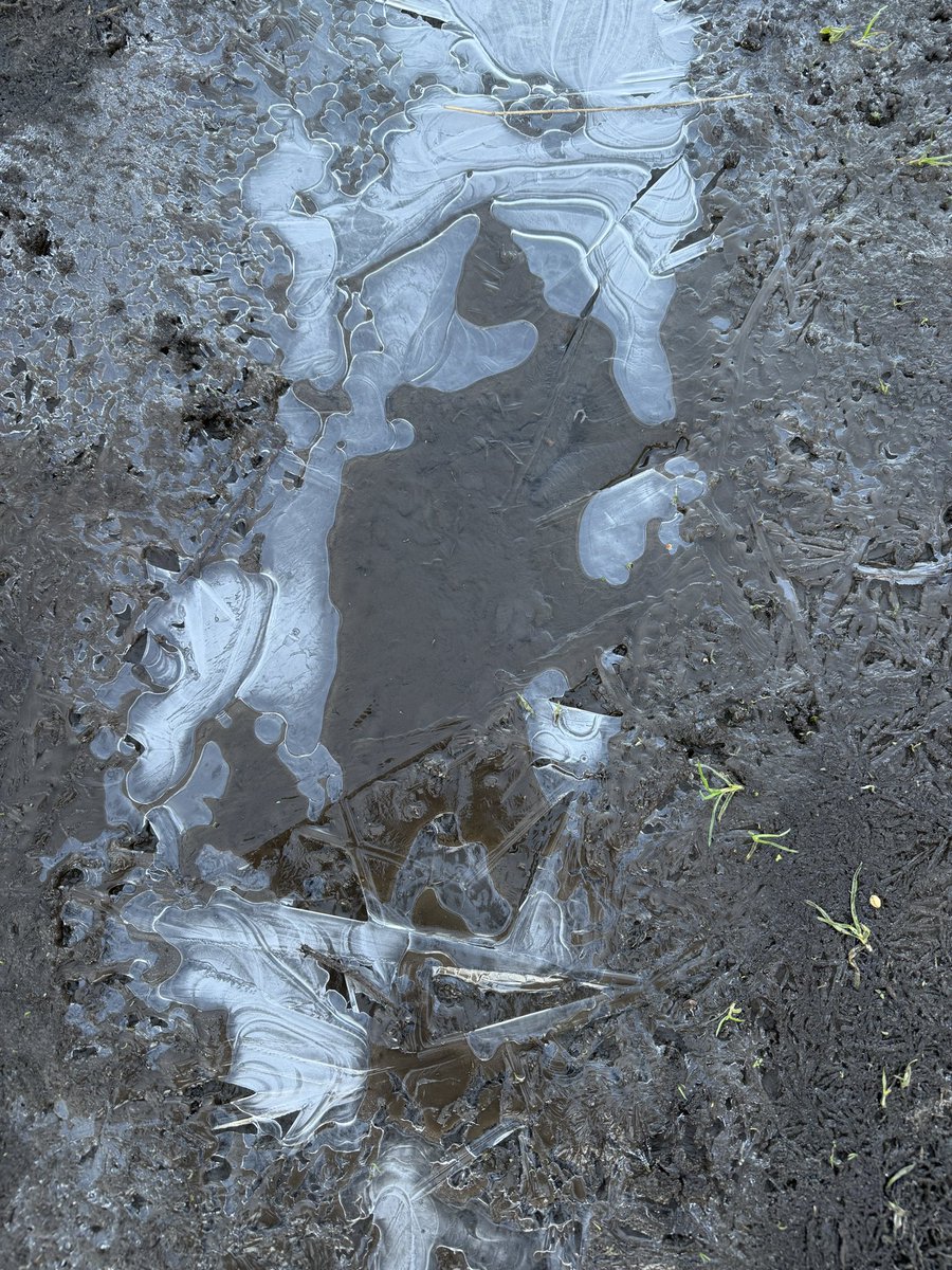 staithesartist's tweet image. #Ice and #sunshine for my #briskwalk It was a struggle to go this morning but glad I did.