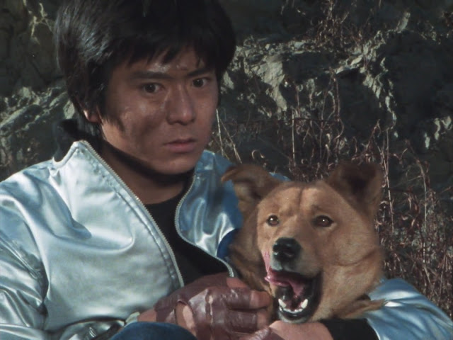 J-SONGS BR tweet media