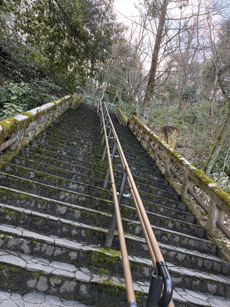 上矢ゆい🌹Yui Kamiya tweet media