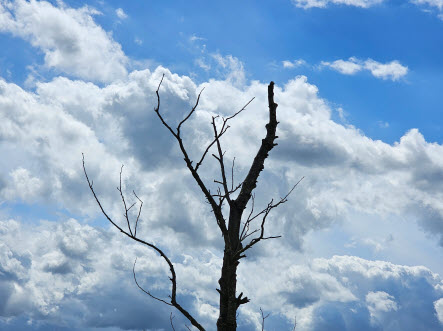 proplanta.de tweet media