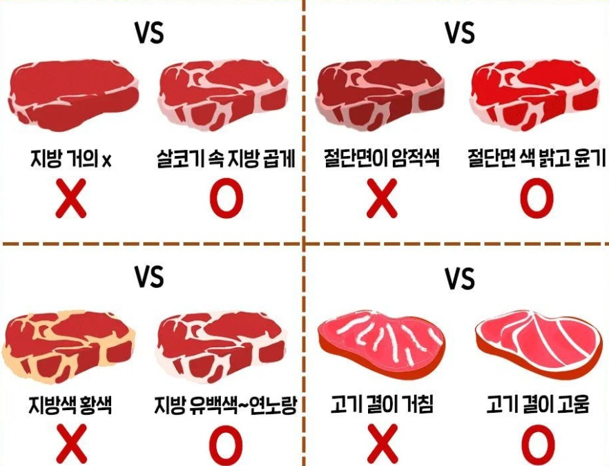 갓생 아카이브 tweet media