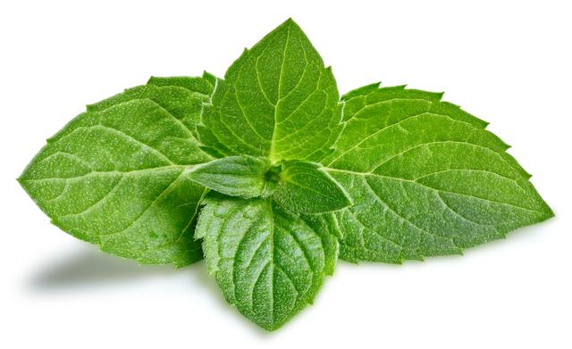 Brian Kent tweet media