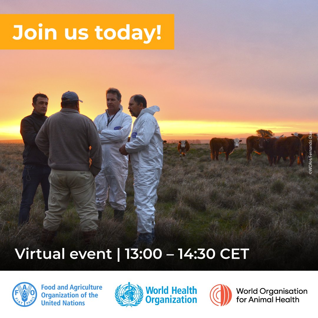 FAO Livestock tweet media