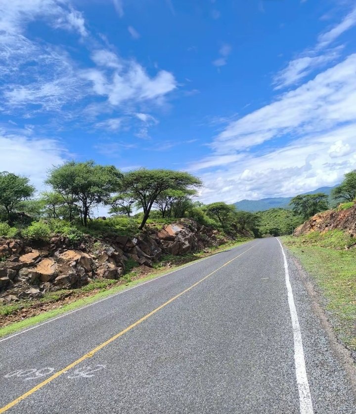 WildCanvas tweet media