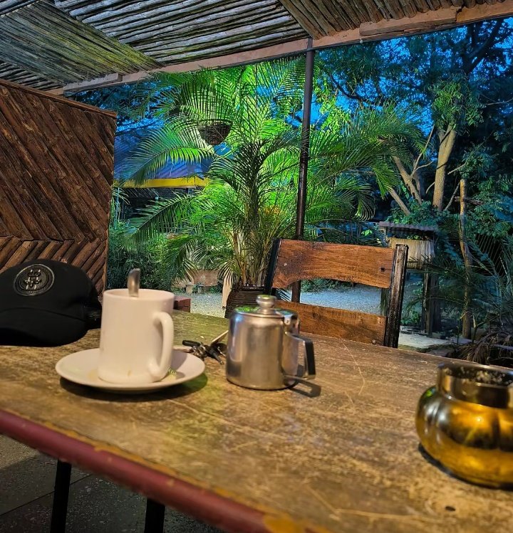 WildCanvas tweet media