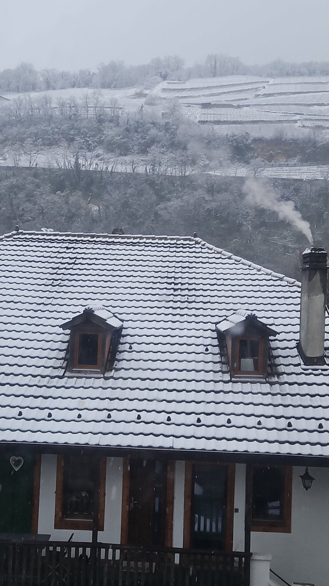 Charles Townsend tweet media