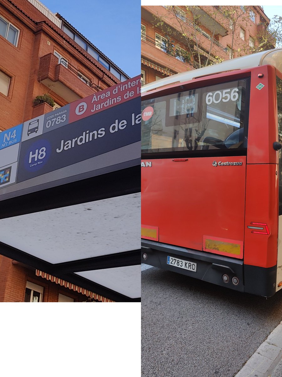 Barcelona 🍅 tweet media