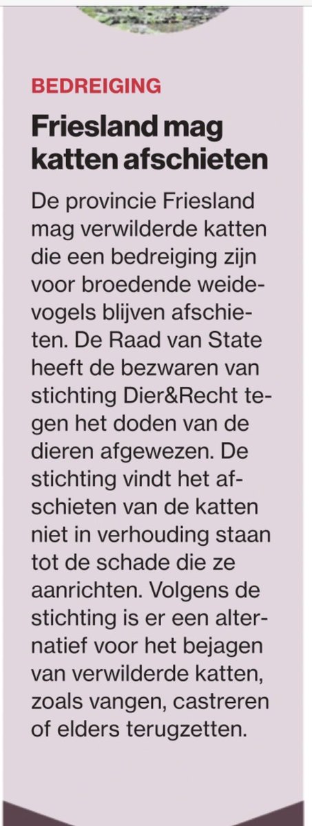 heidi_looy's tweet image. Weidevogels redden met halve keuzes is zelfbedrog.
Ja, verwilderde katten aanpakken is logisch. Maar zolang andere predatoren, versnipperd beleid en verkeerd ingericht landschap blijven bestaan, verandert er niets.
Tijd voor landelijk consequent beleid.
#weidevogels #florafauna