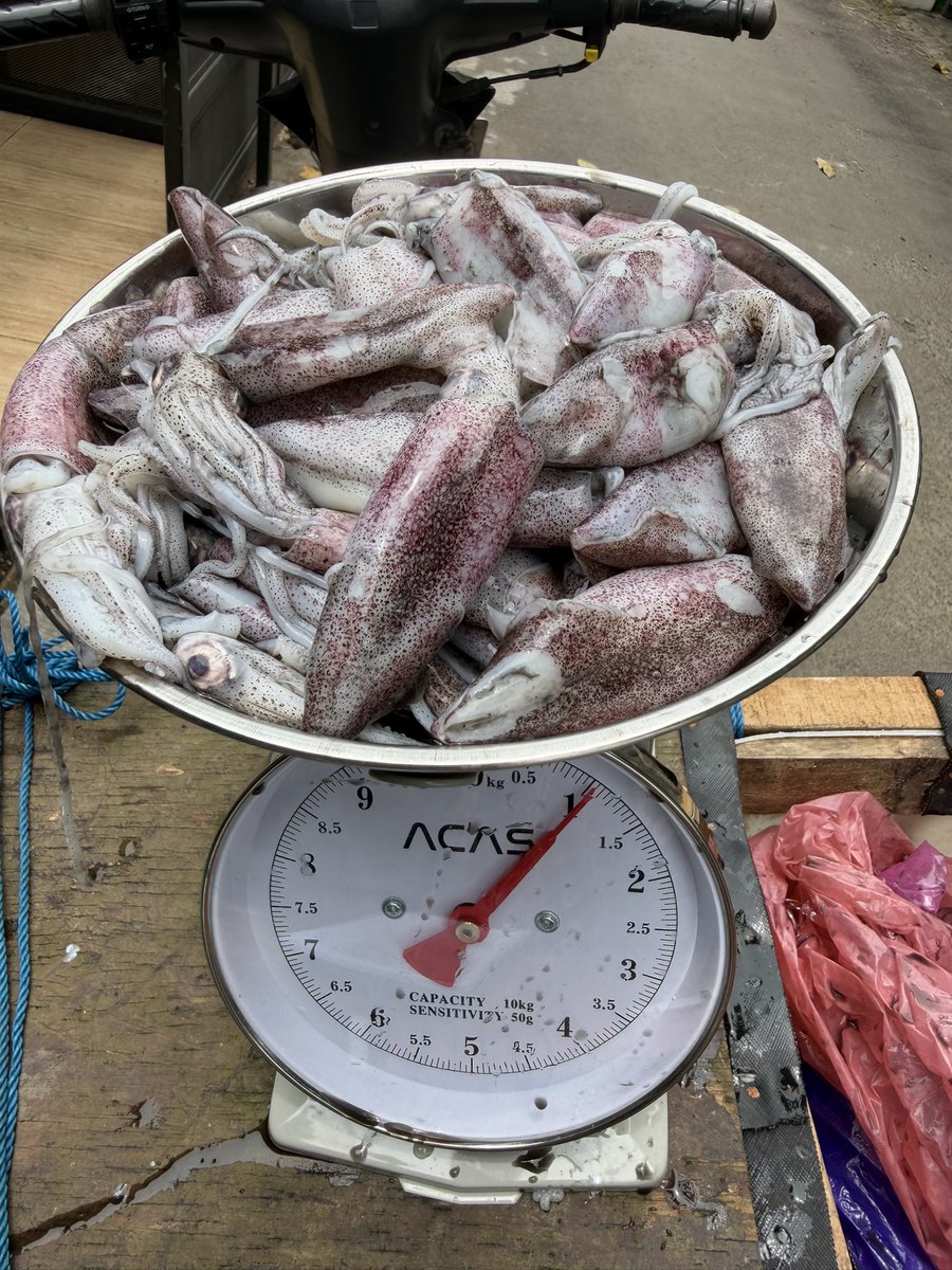 aquariusgirl tweet media