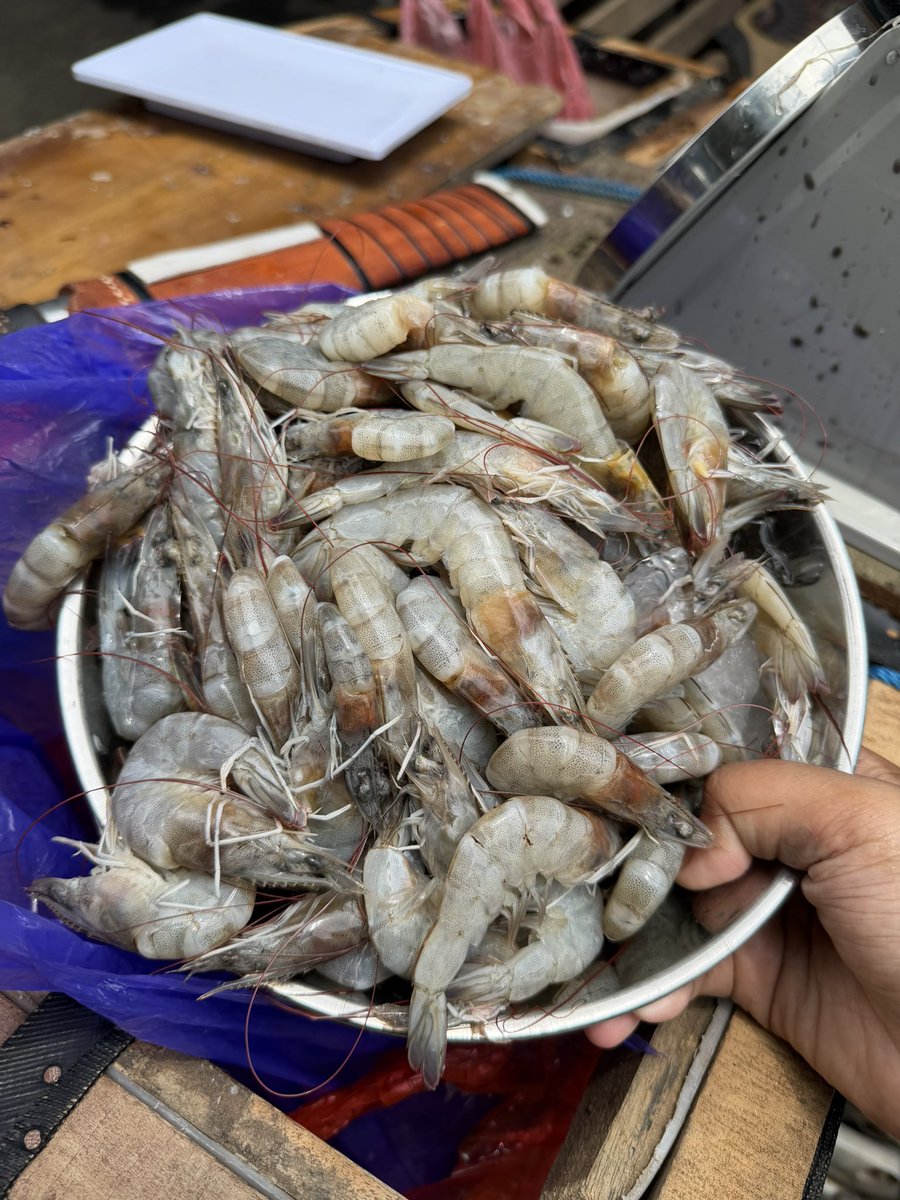 aquariusgirl tweet media