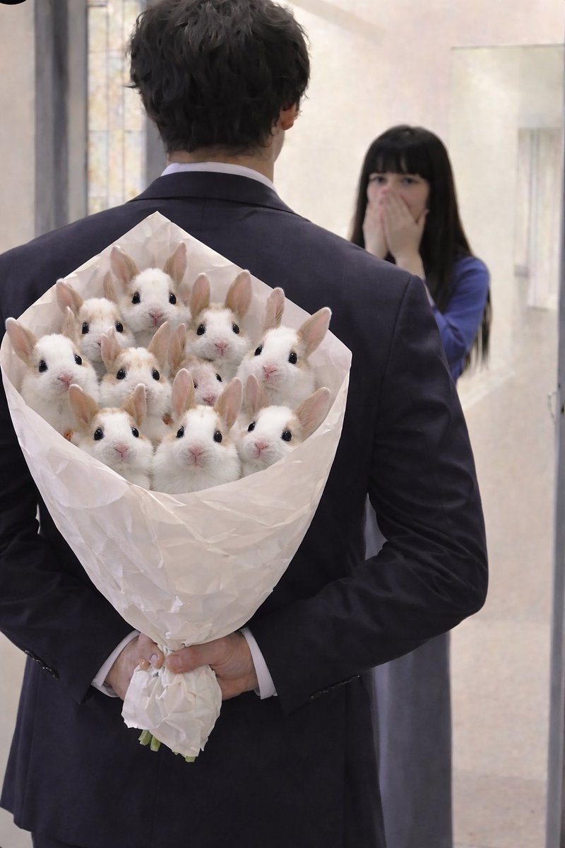 Why you should have a rabbit tweet media