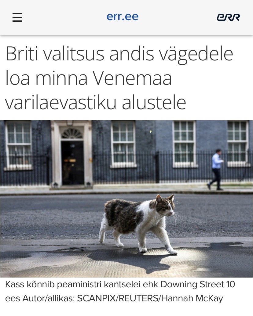 Maarja Punak tweet media