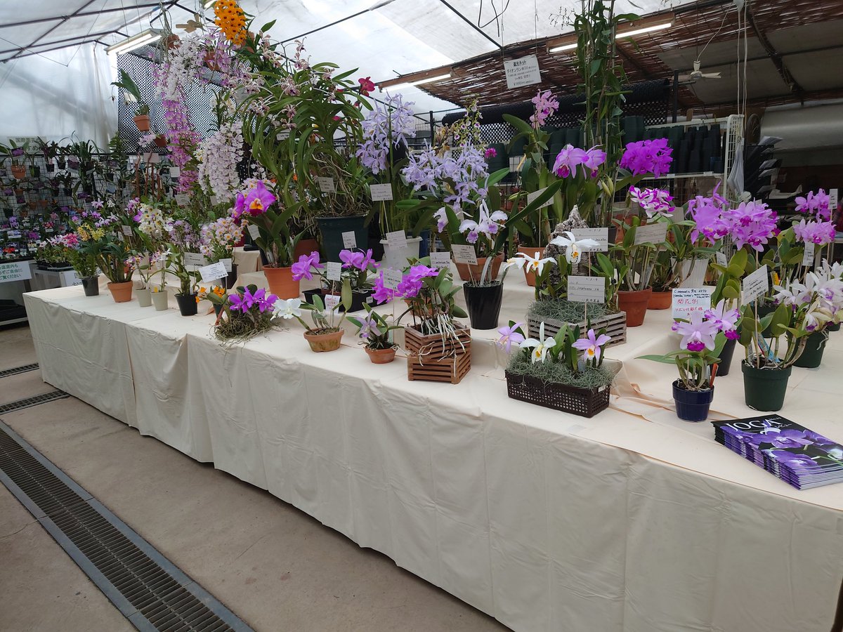 こてつ tweet media