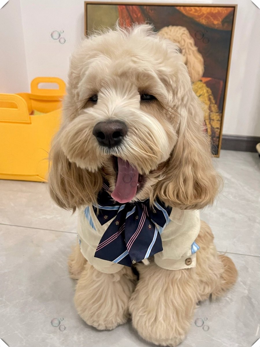 sunny preenja tweet media