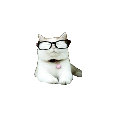 Western Rootz tweet media