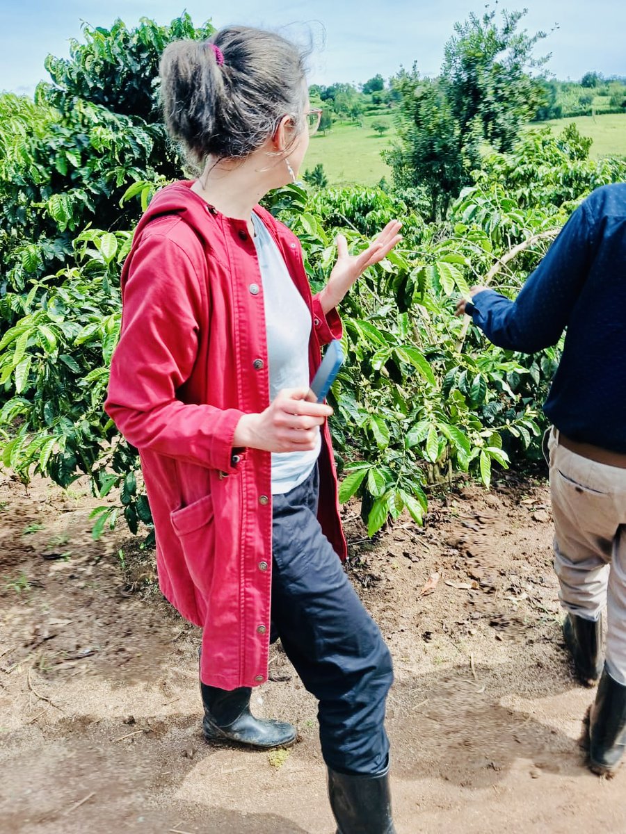 AWYAD_UG's tweet photo. On Day 2, donors joined AWYAD to tour the AGILE project coffee nursery bed in Kakabara Subcounty, Kyaka II Refugee Settlement, observing progress in strengthening the coffee value chain and advancing sustainable livelihoods. 

#AGILEProject #AWYAD #CoffeeValueChain #Livelihoods https://t.co/w4aQnpgbE9