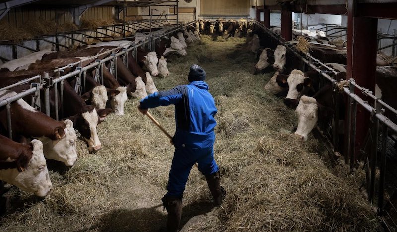 Réseau International tweet media