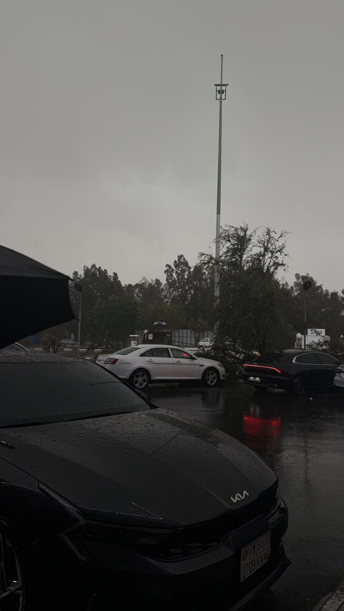 لجين tweet media