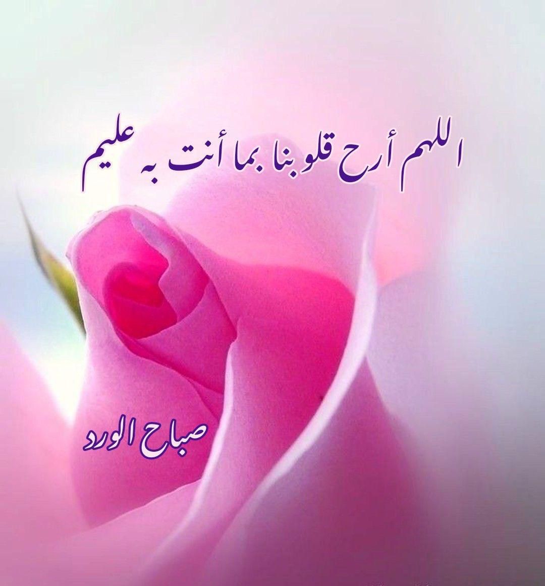 عباس عبدالعال tweet media