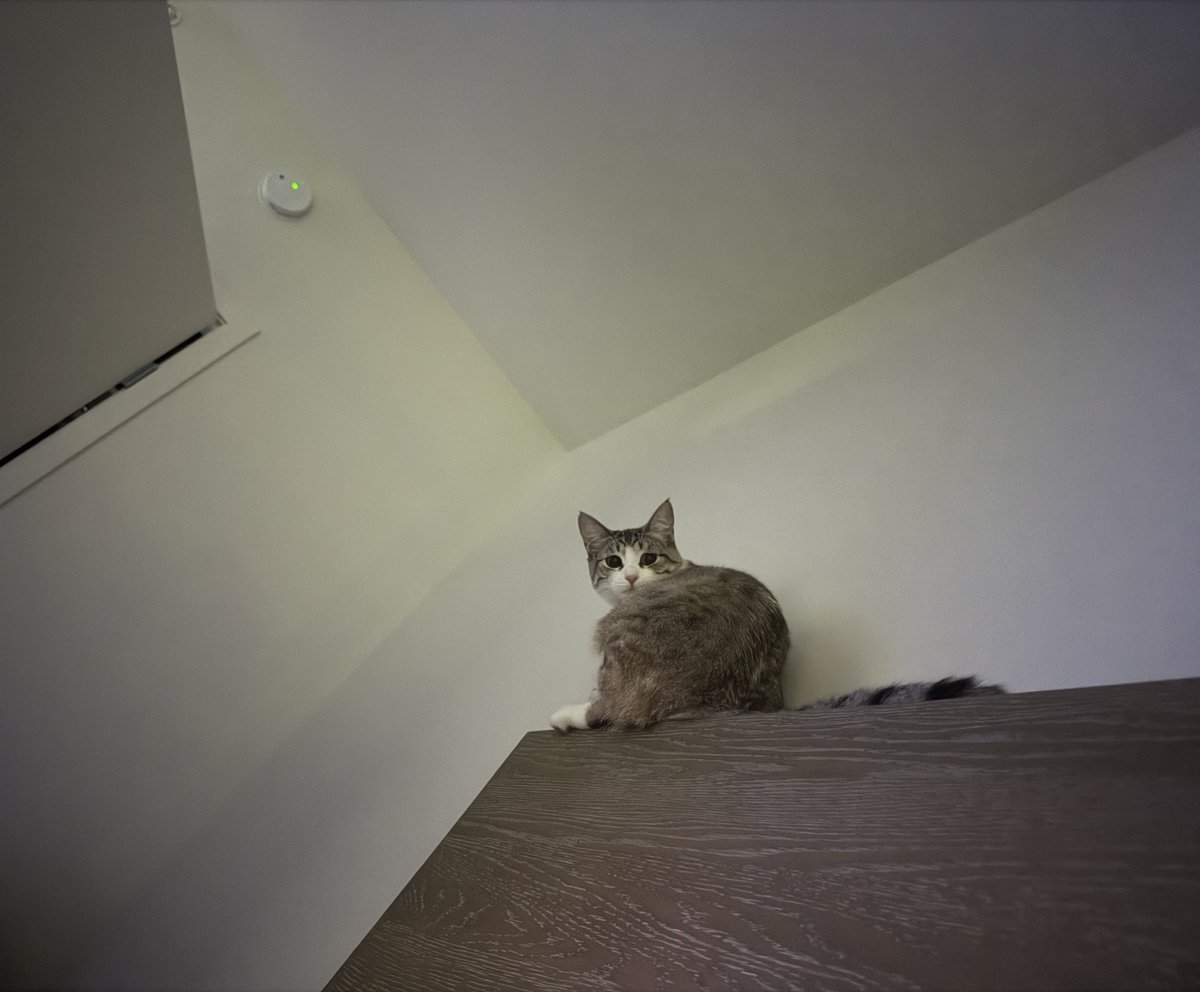 vio 🖤✨ tweet media