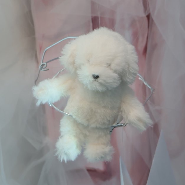 水縹 ·̫ tweet media