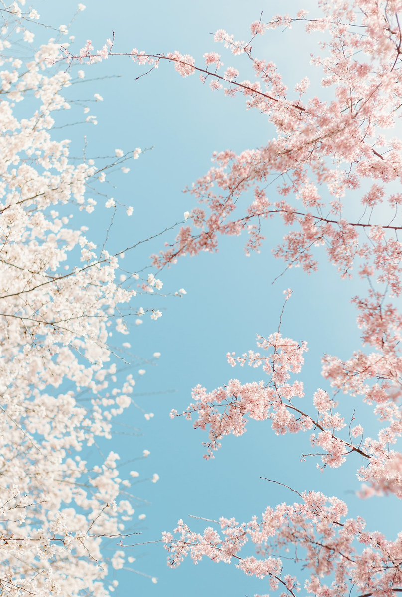 木佐貫直人/art6d tweet media