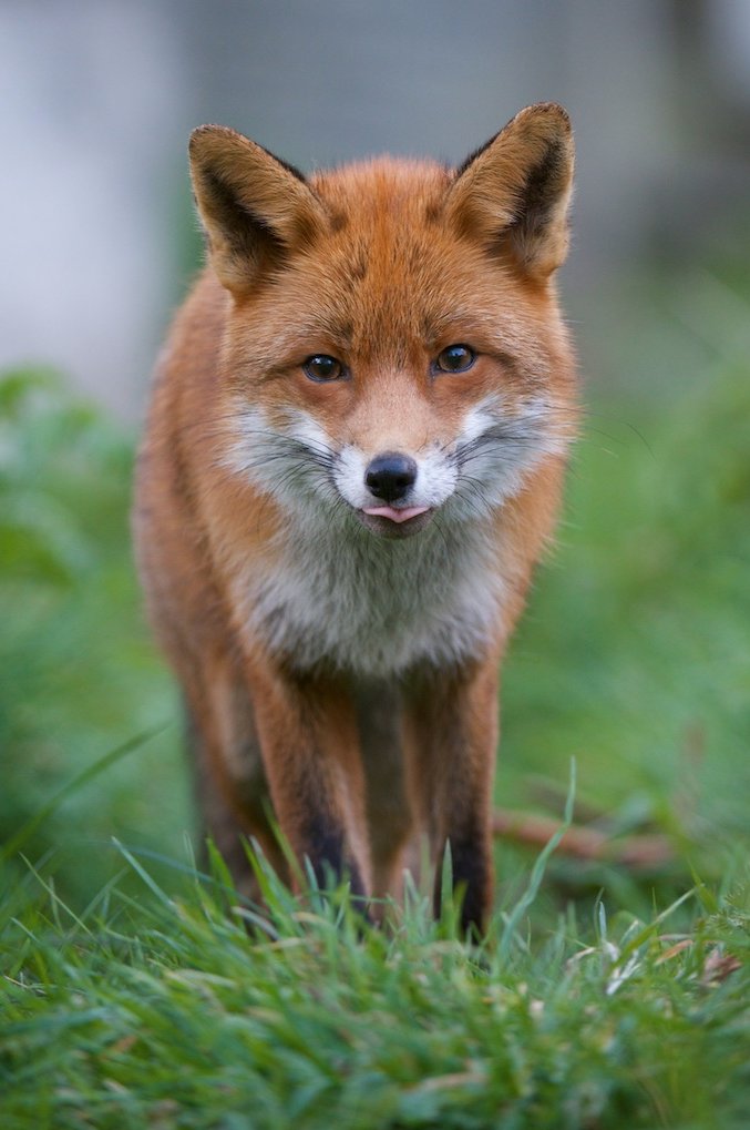 Richard Bowler tweet media