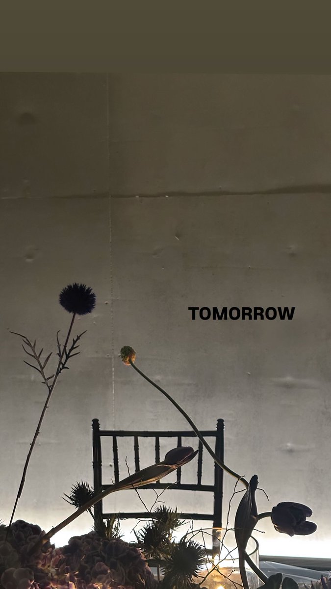 맘🍇🍇 tweet media