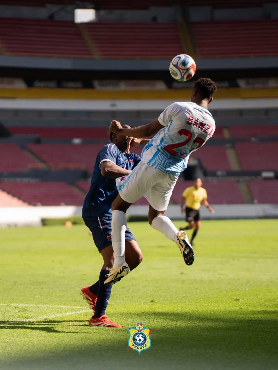 Leopard Leader Foot tweet media