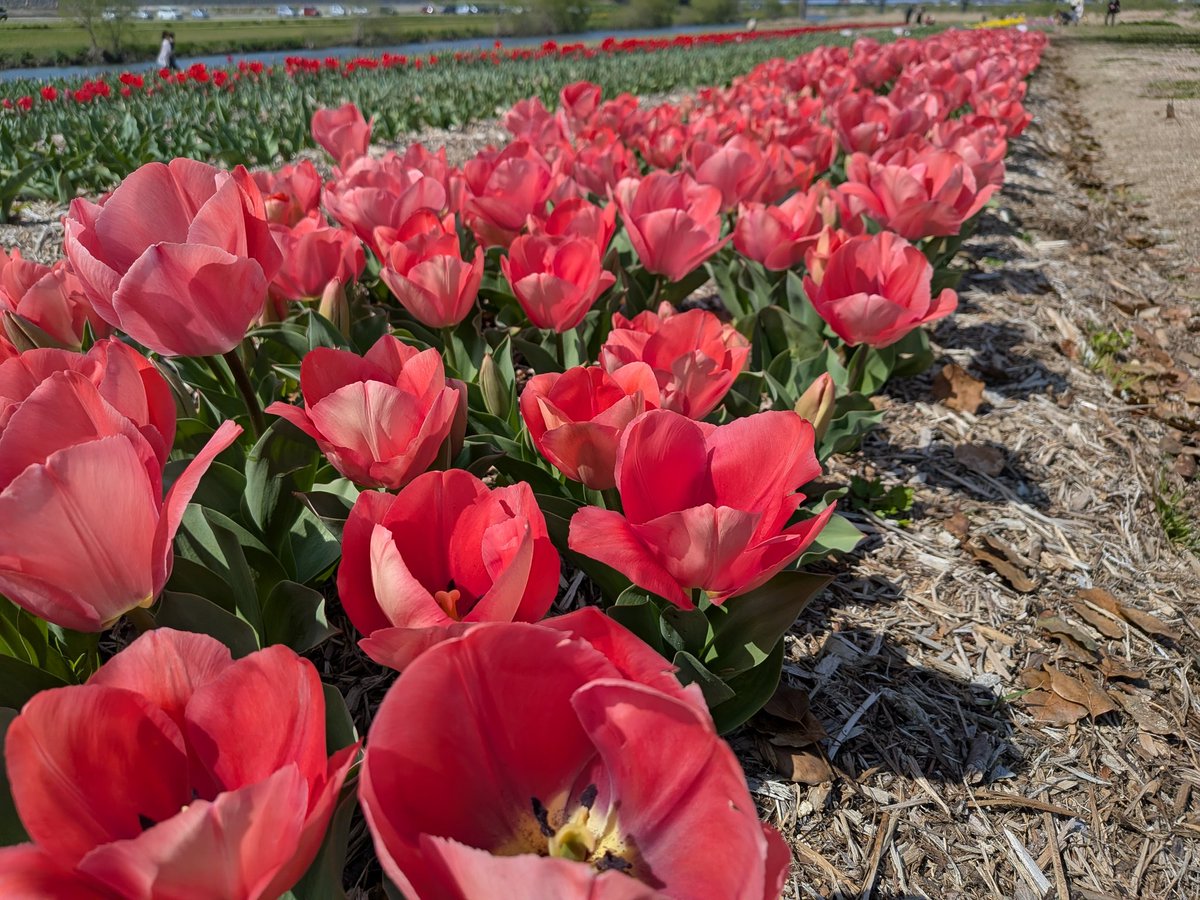 ろん＠Re:ゼロから始める投資生活 tweet media