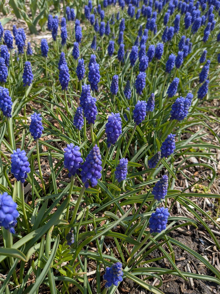 ろん＠Re:ゼロから始める投資生活 tweet media