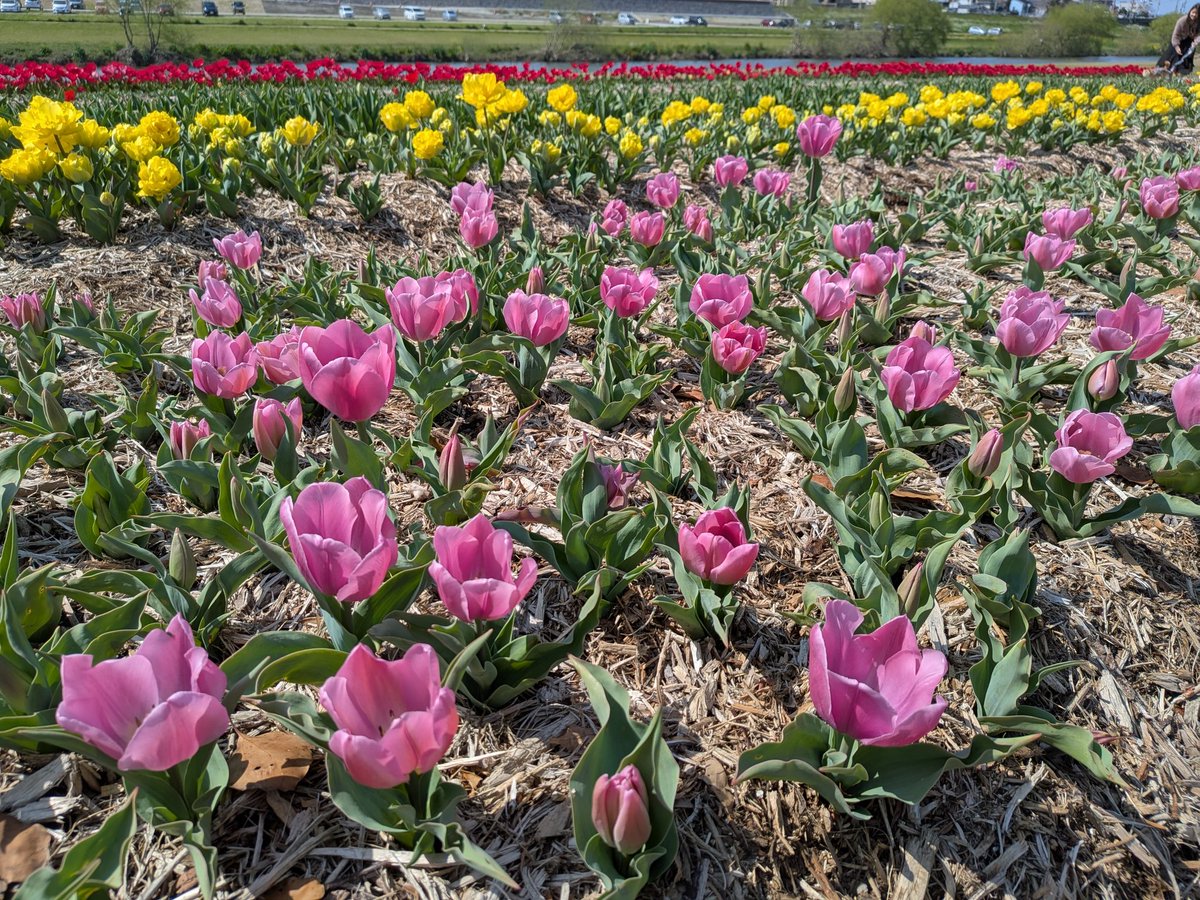 ろん＠Re:ゼロから始める投資生活 tweet media