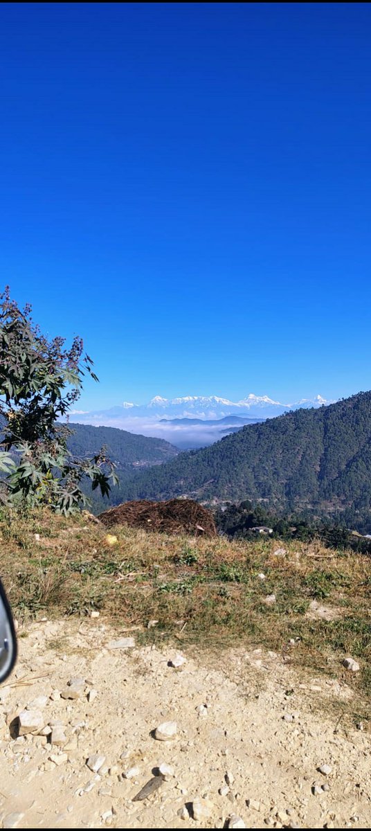 Nainital Properties - Uttarakhand Properties tweet media