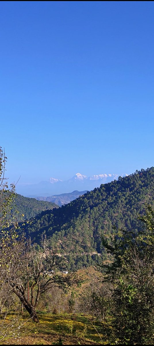 Nainital Properties - Uttarakhand Properties tweet media