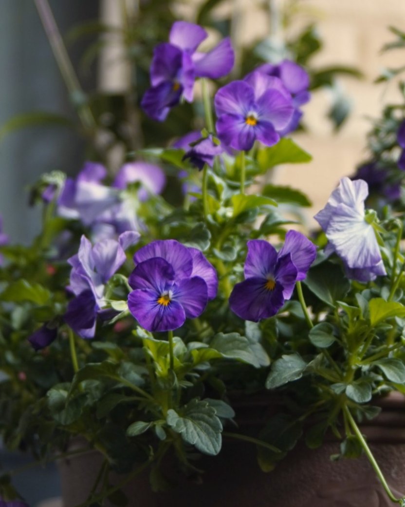 A.KITAGUCHI tweet media