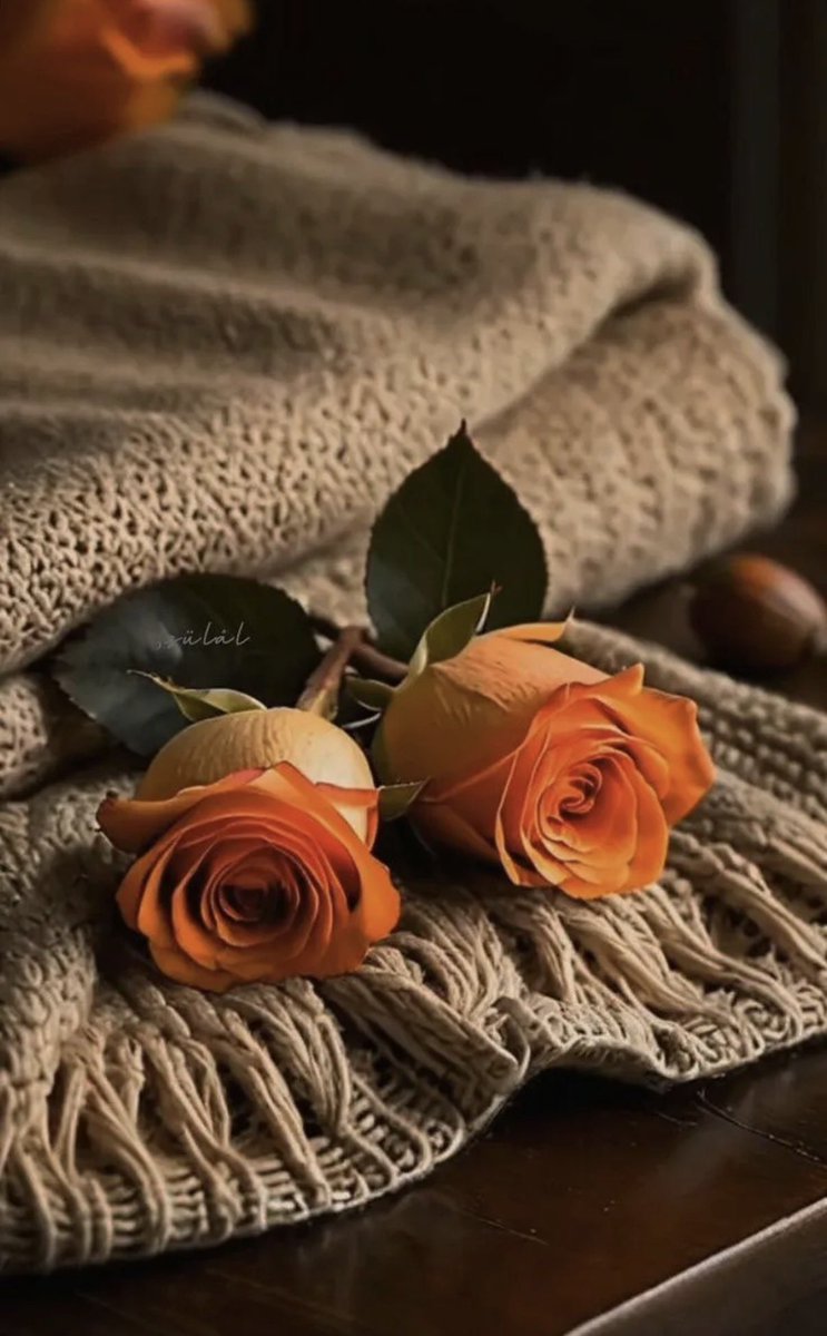 🤍FF🤍 tweet media